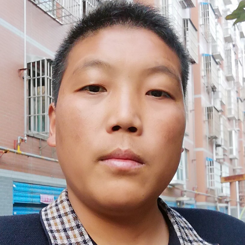 活泼太阳的照片