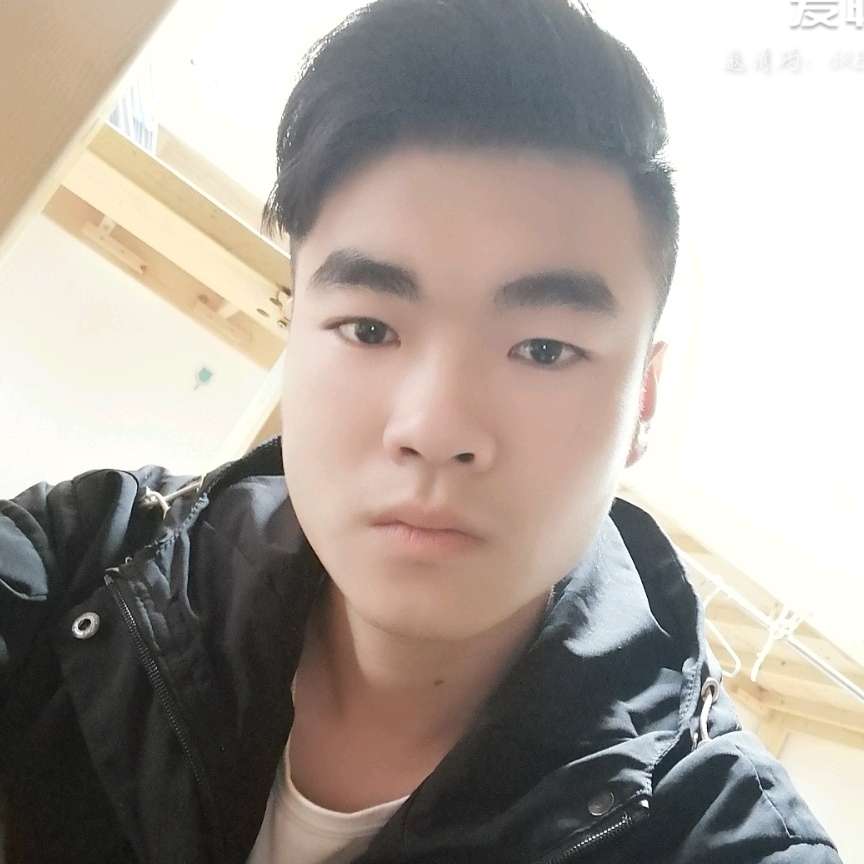 谢尔比$的照片