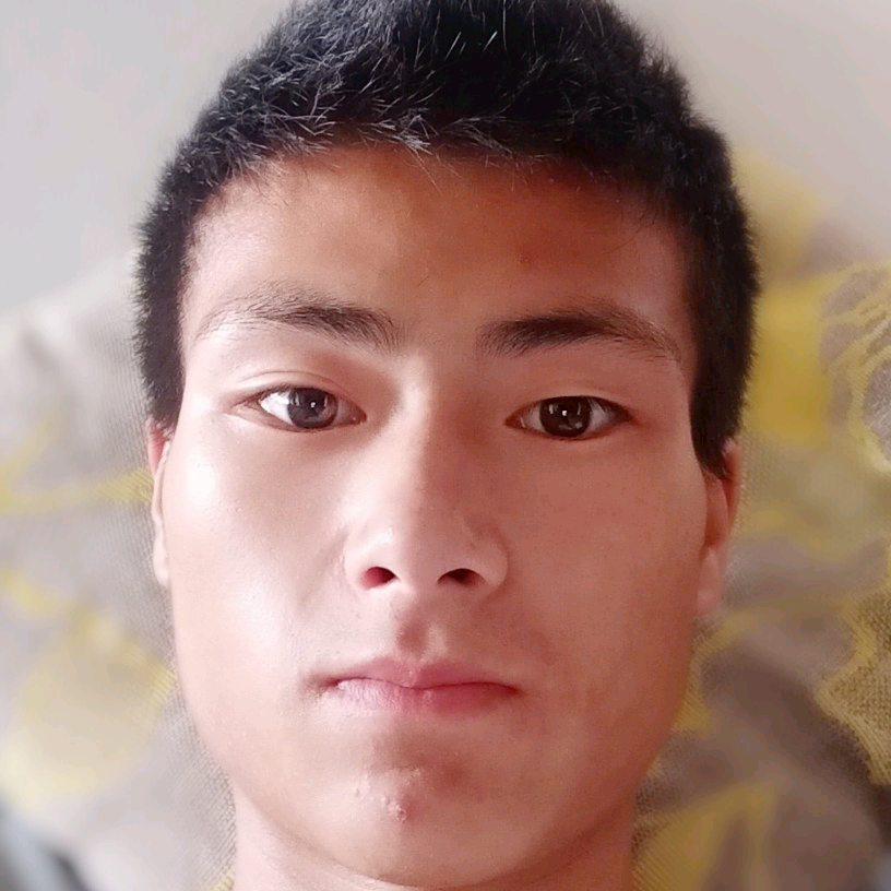 南殇 ♂的照片