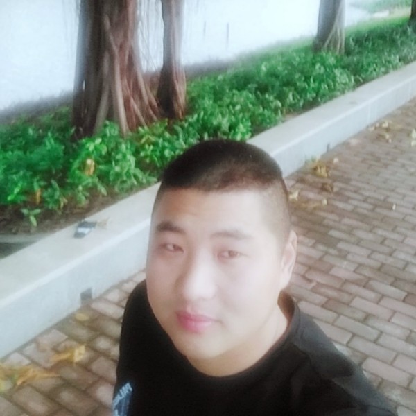 冷静草莓的照片