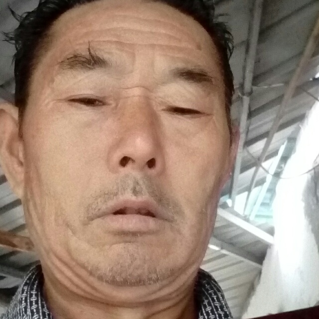金盆湖的照片