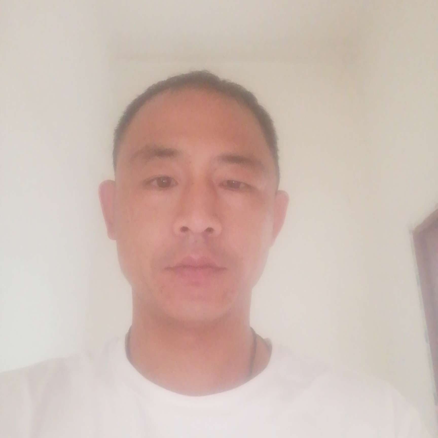 潇洒凝眸故事的照片