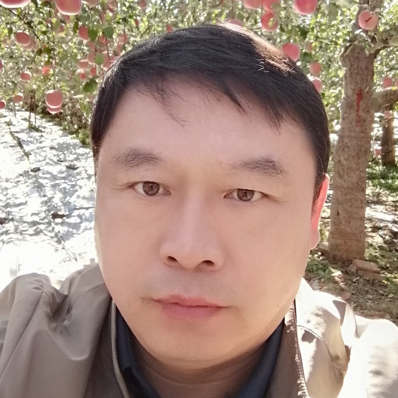 大码头的照片