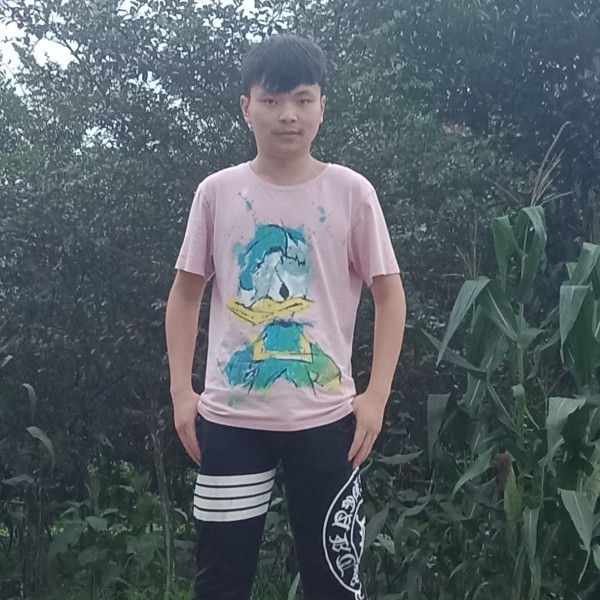 火车泪了辛勤的照片