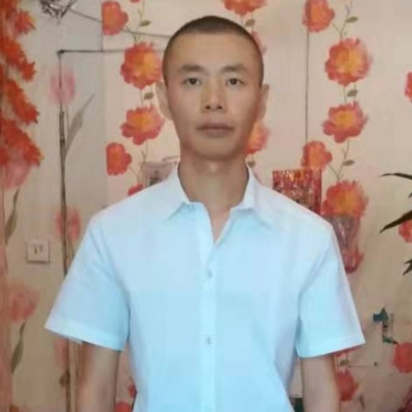 小猫咪愿危机的照片