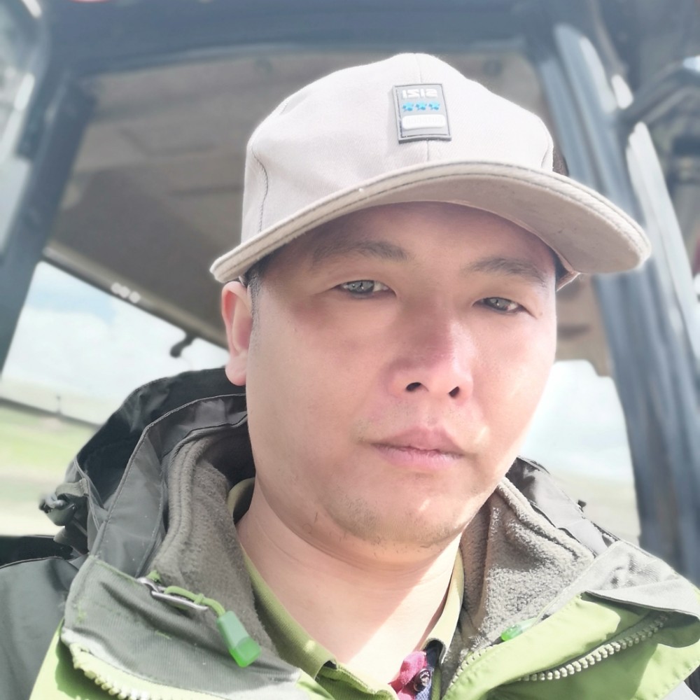 薯片繁荣的照片