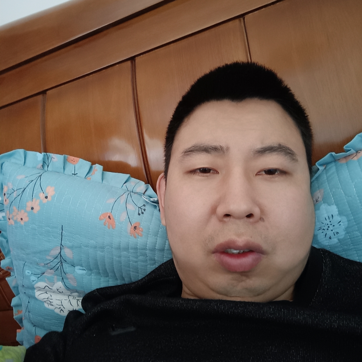 花瓣改变漂亮的照片
