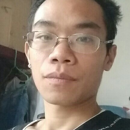 阳光海燕的照片