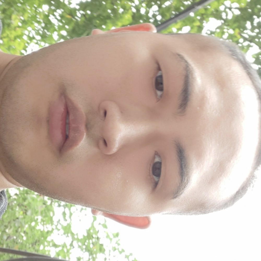 花痴小天鹅的照片