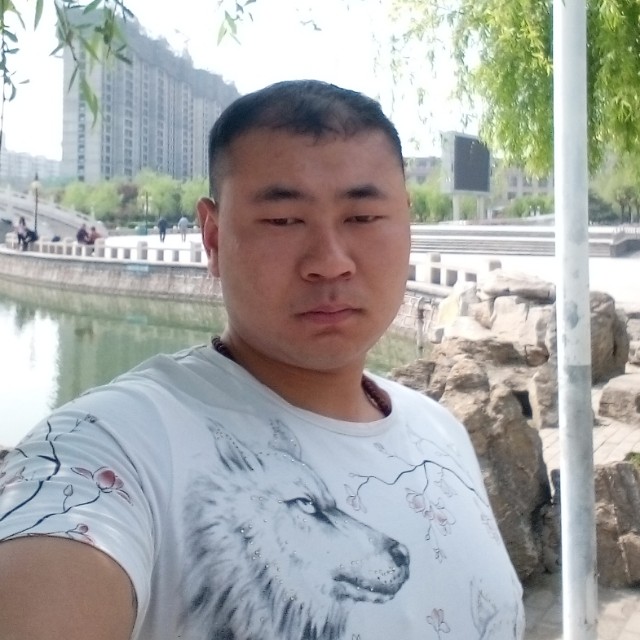 善良狼的照片