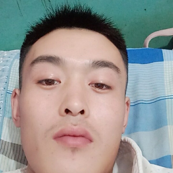 灯泡呆萌的照片