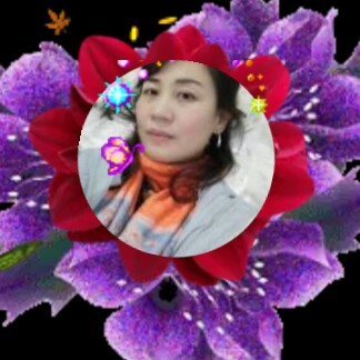 淡定情话的照片