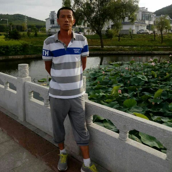 老男人的风的照片