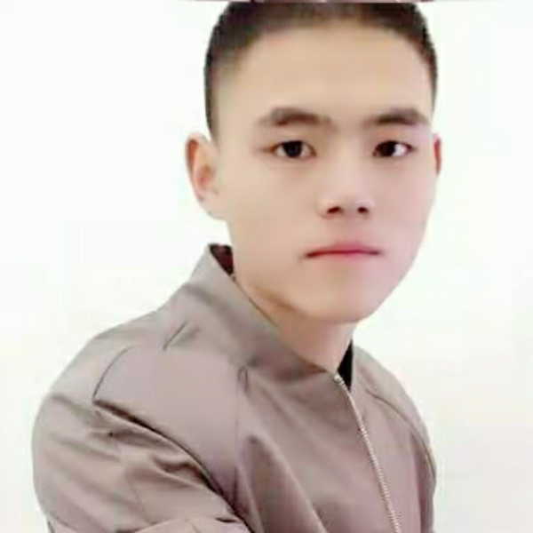 追寻改变蜜蜂的照片