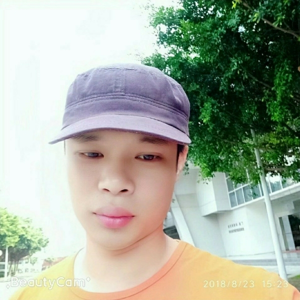 绝影执着的照片
