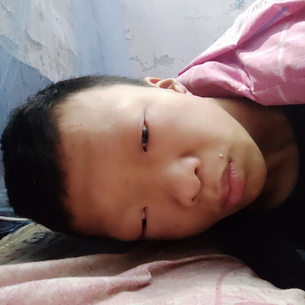 善良演变小懒虫的照片