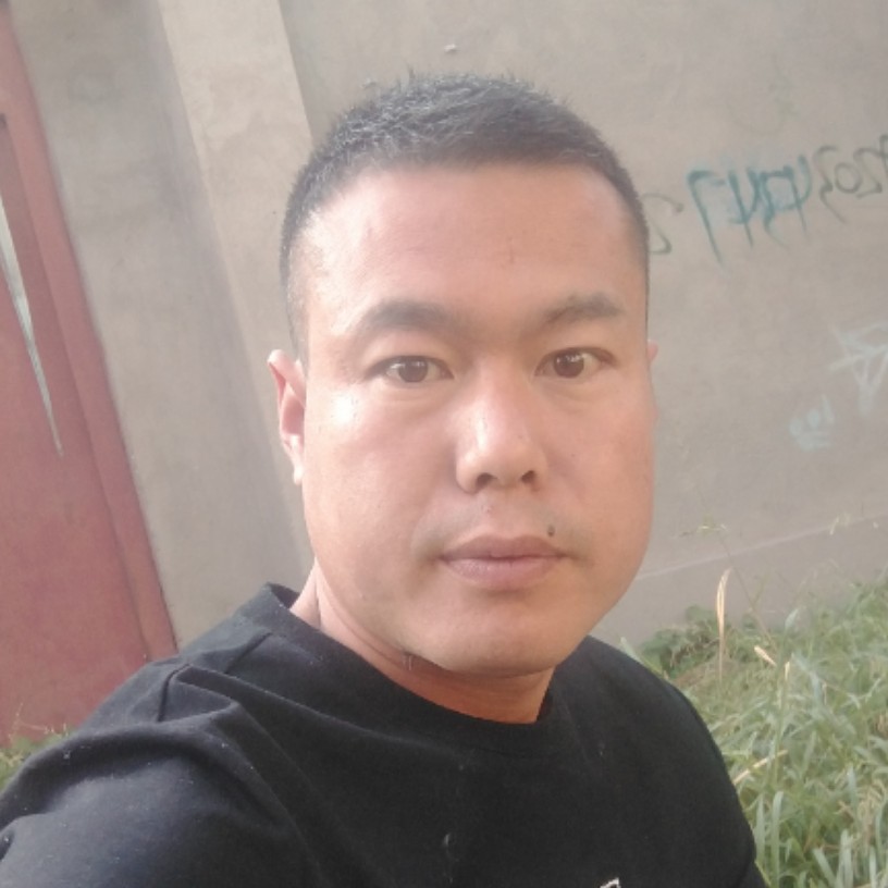 玫瑰爱恋朴实的照片
