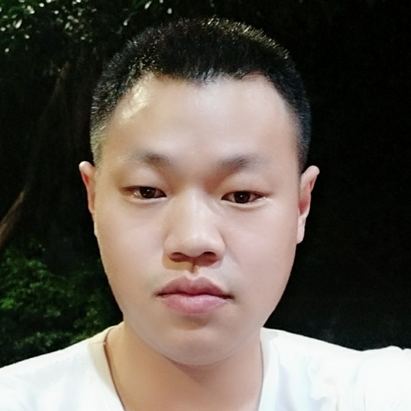 绚烂小蜜蜂的照片