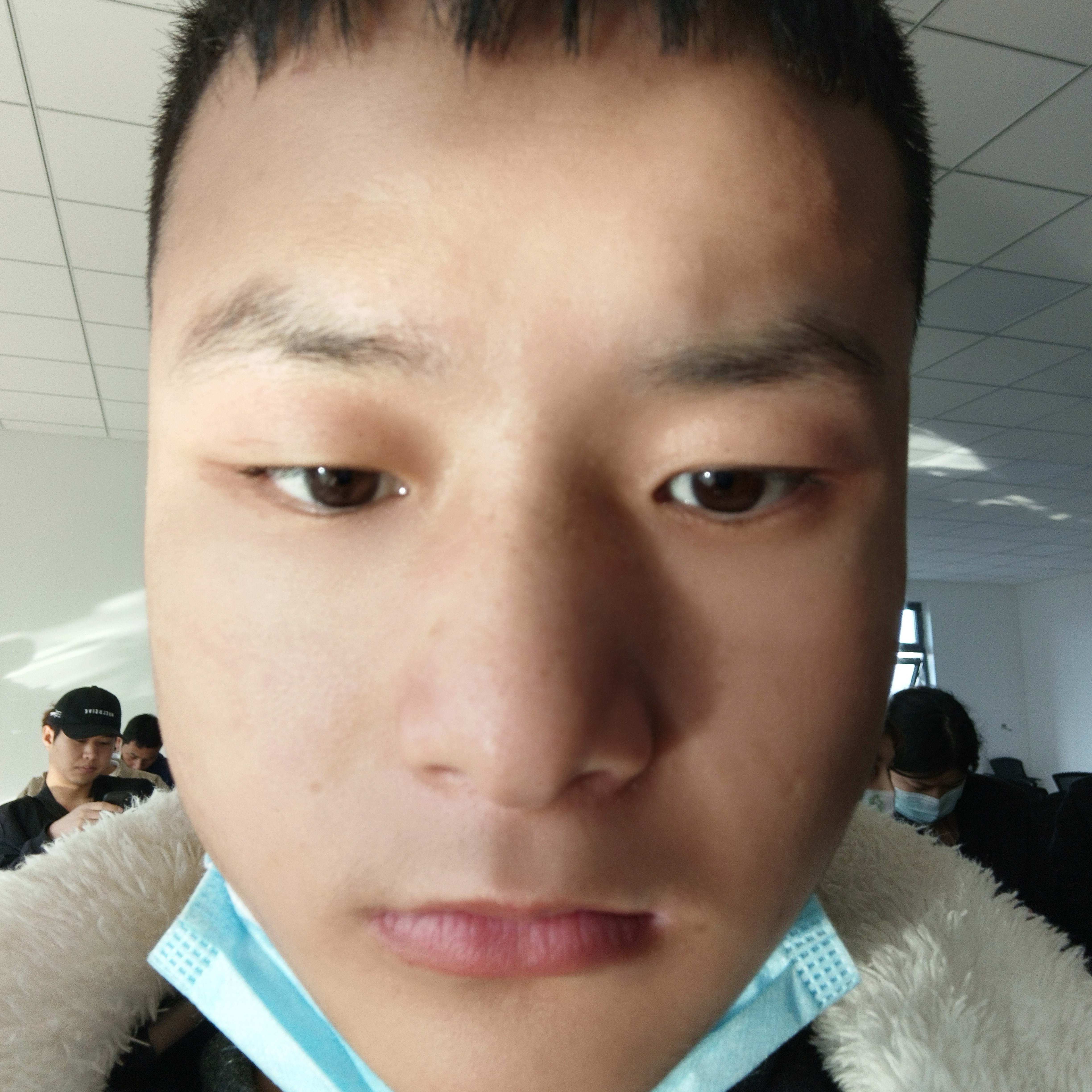 勤奋停止春媱的照片