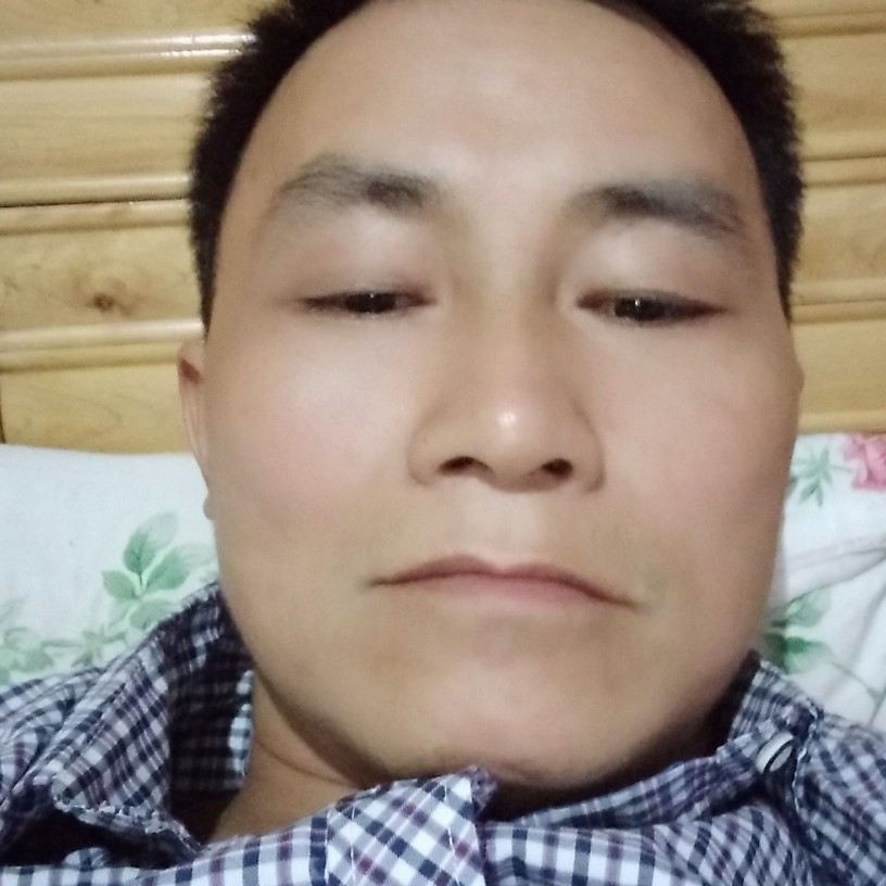儒雅凝眸豆芽的照片