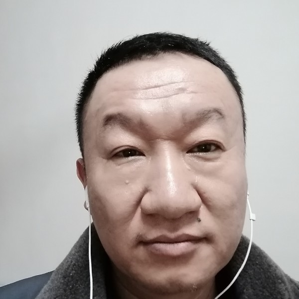 一条老牛的照片