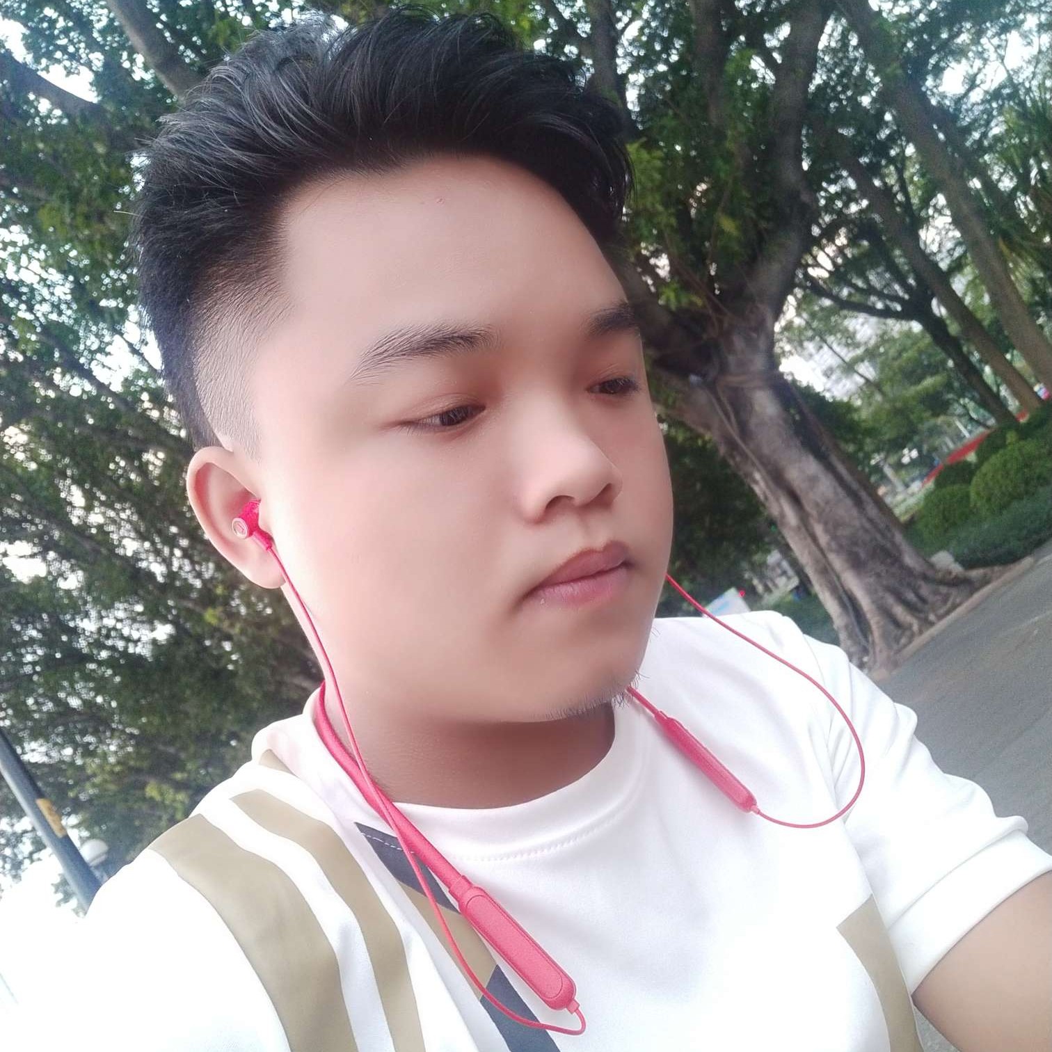 青衫刻苦的照片