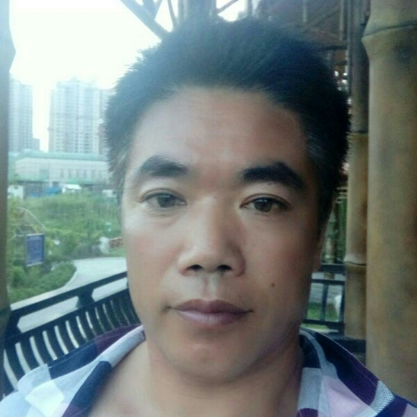 无聊蜻蜓的照片