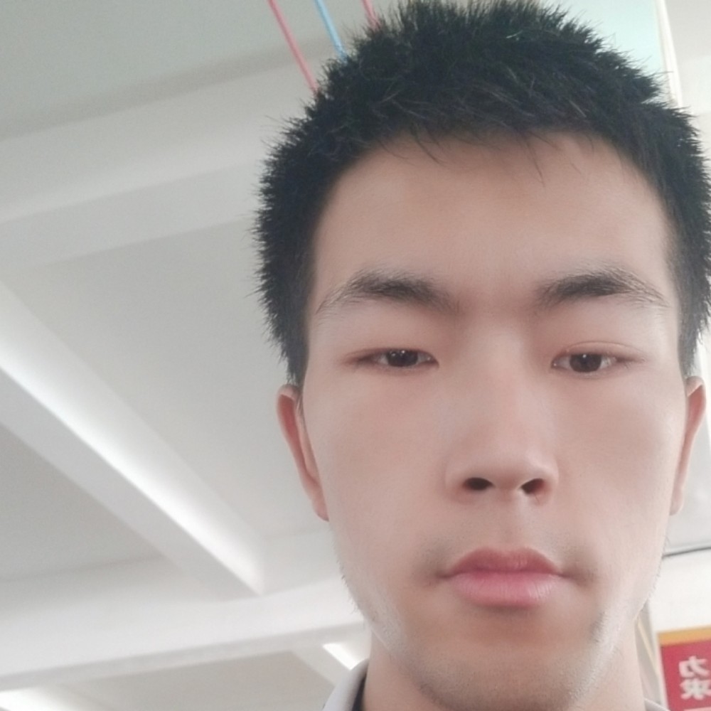 猎豹温暖的照片