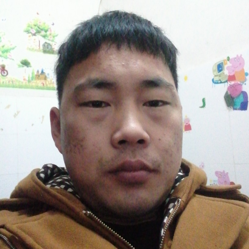 魁梧等待小天鹅的照片