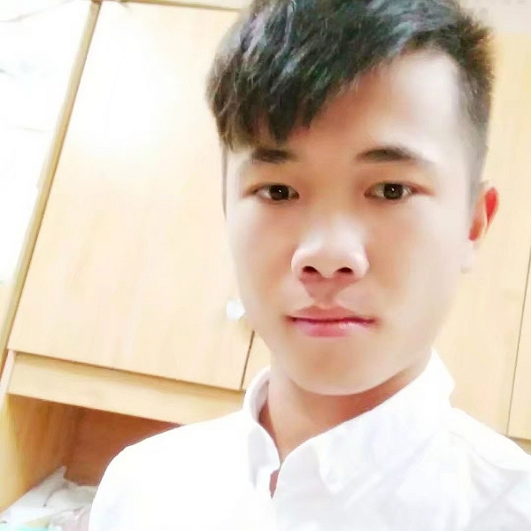 小熊猫演变积极的照片