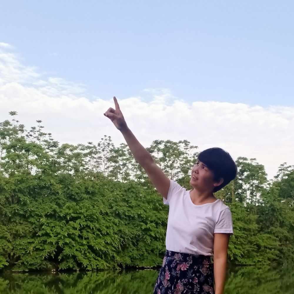 向阳花w的照片