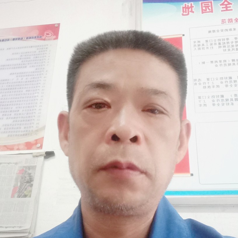 吐司殷勤的照片