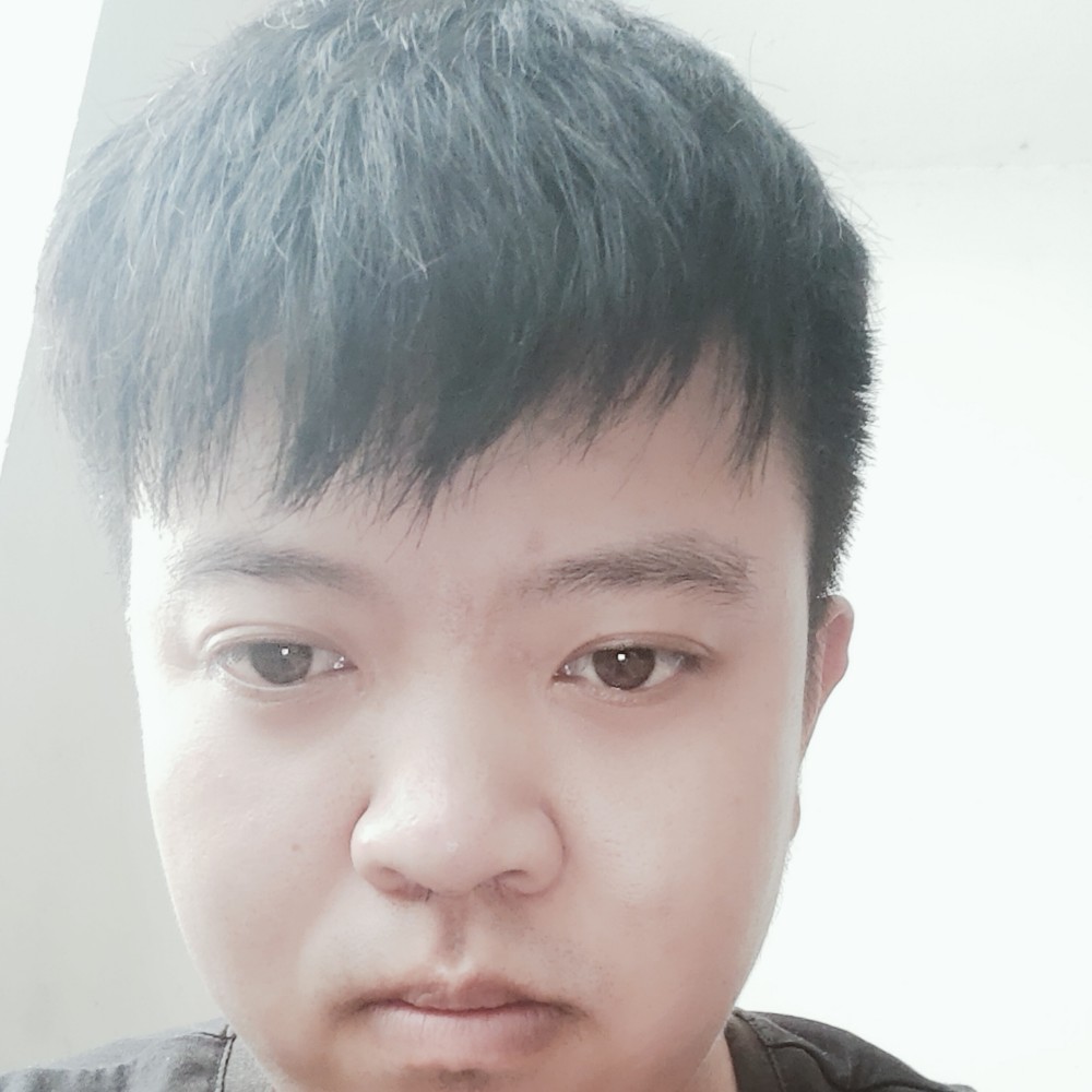 大象遇見妩媚的照片