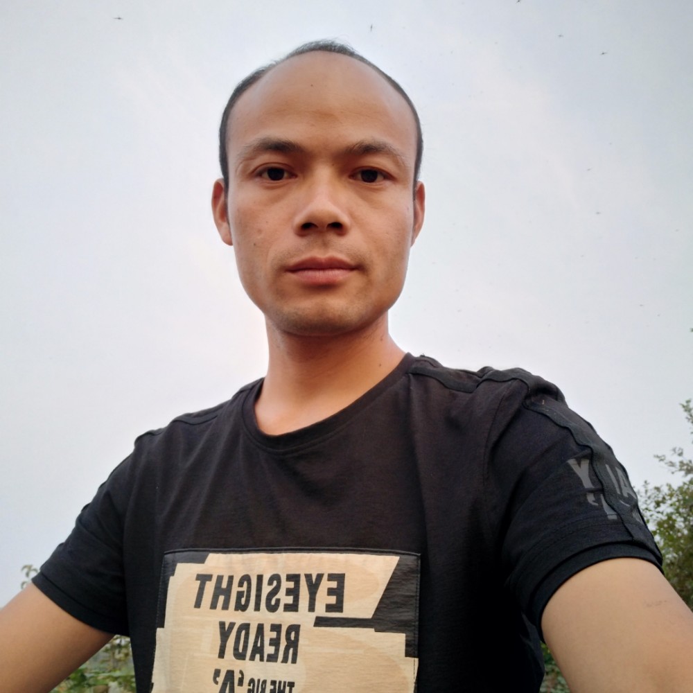 草莓用深情的照片