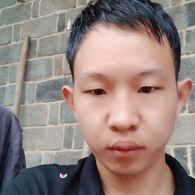一只孤单的狼的照片