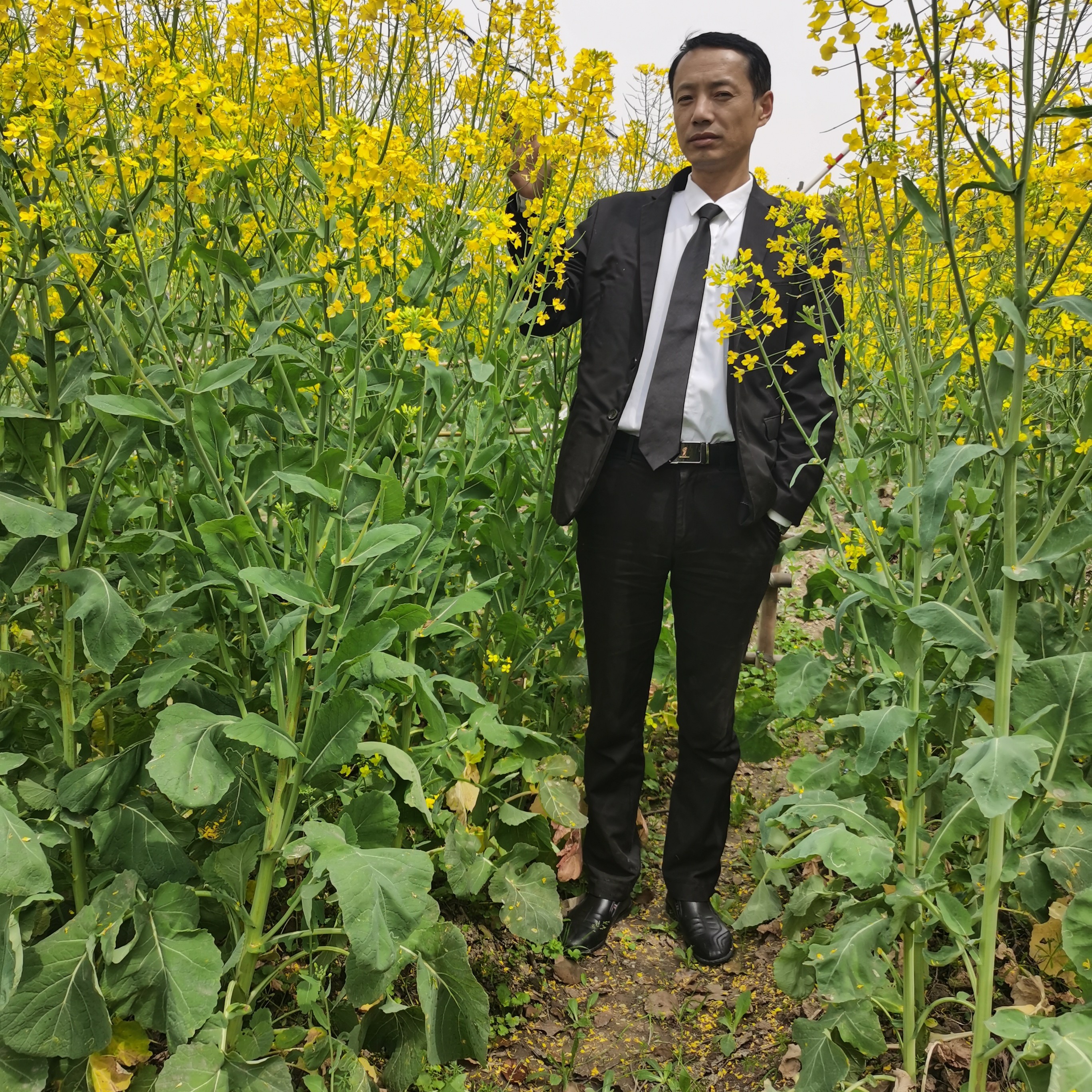 裙子等于悲凉的照片