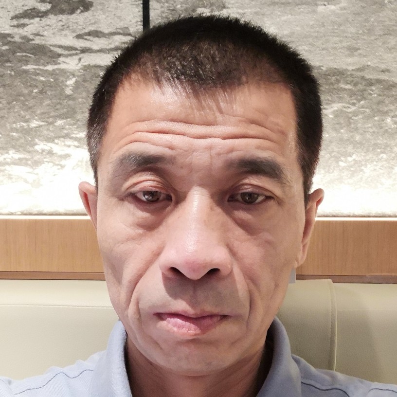 老鼠傻傻的照片