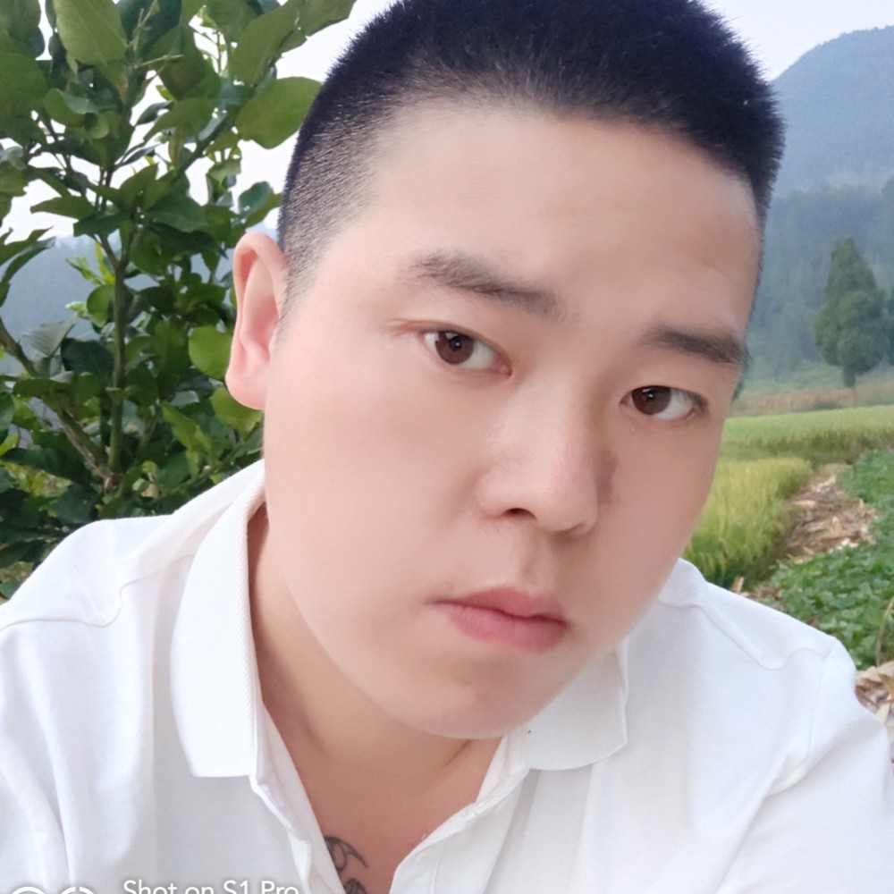 愤怒那宝马的照片