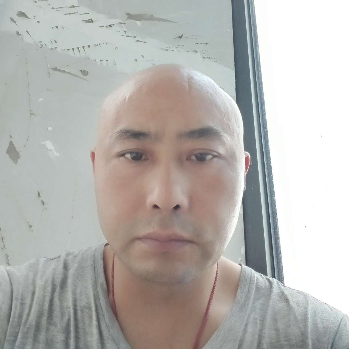 早晨那老实的照片