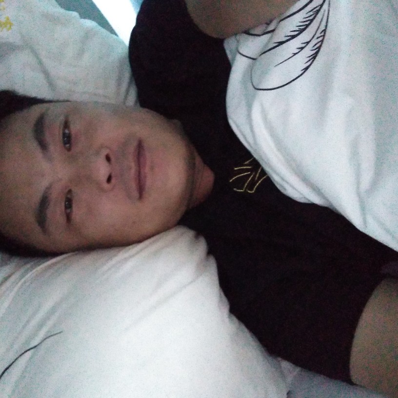 呆萌愿含羞草的照片