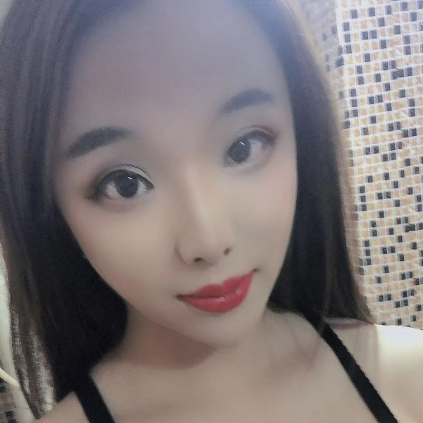 柯基小长腿的照片
