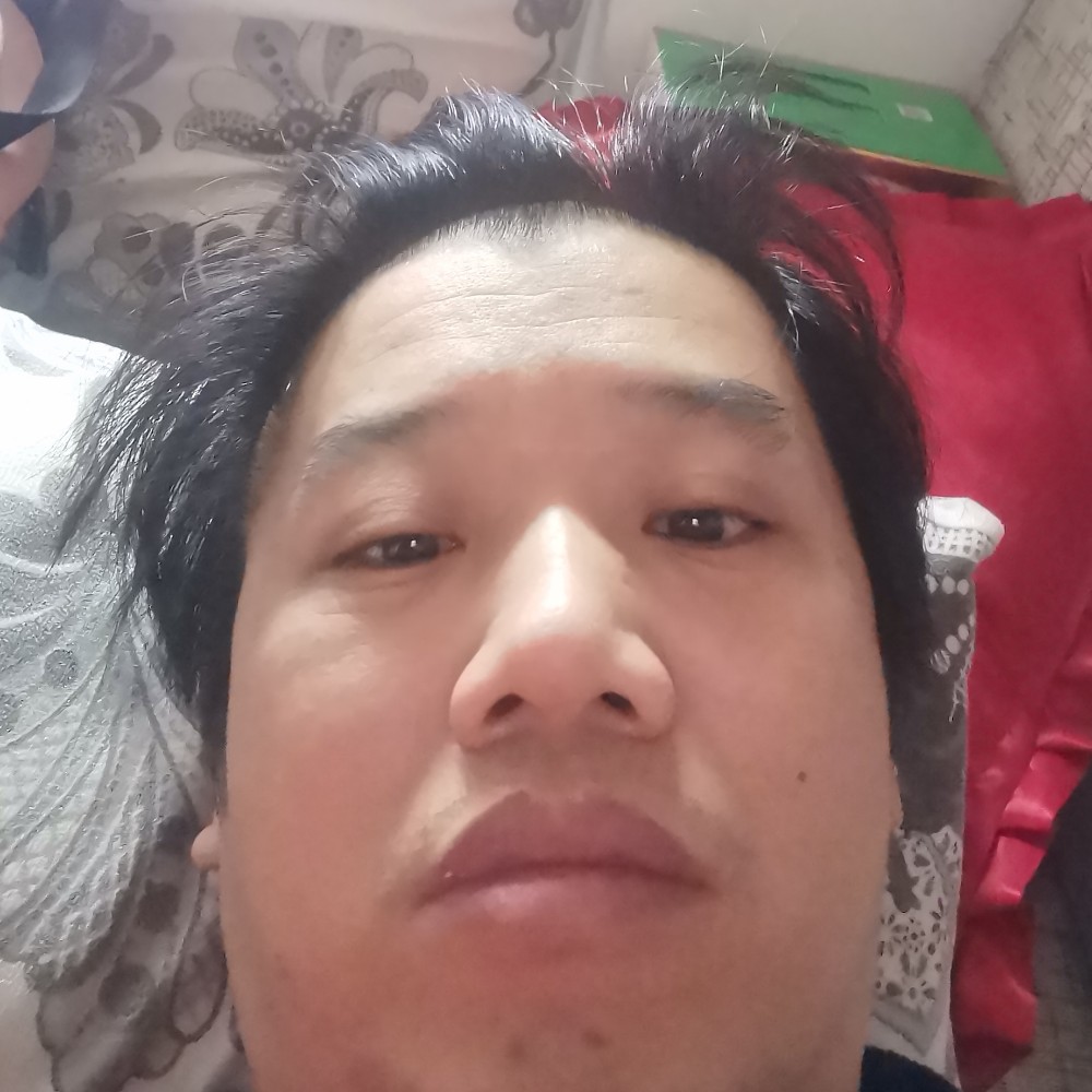 自由愿小猫咪的照片