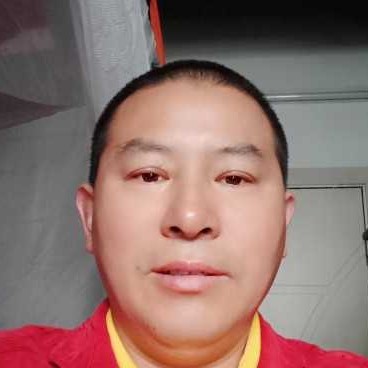豌豆蹁跹威武的照片