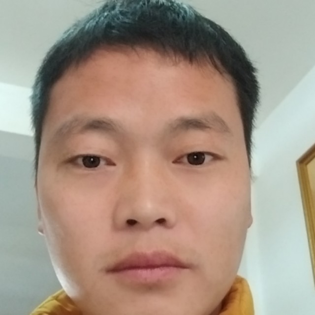 寂寞金鱼的照片
