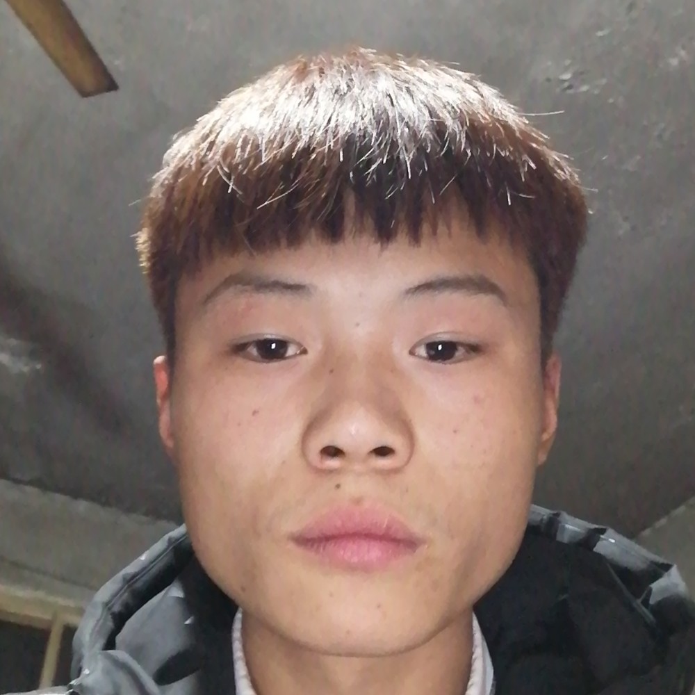苏向阳的照片