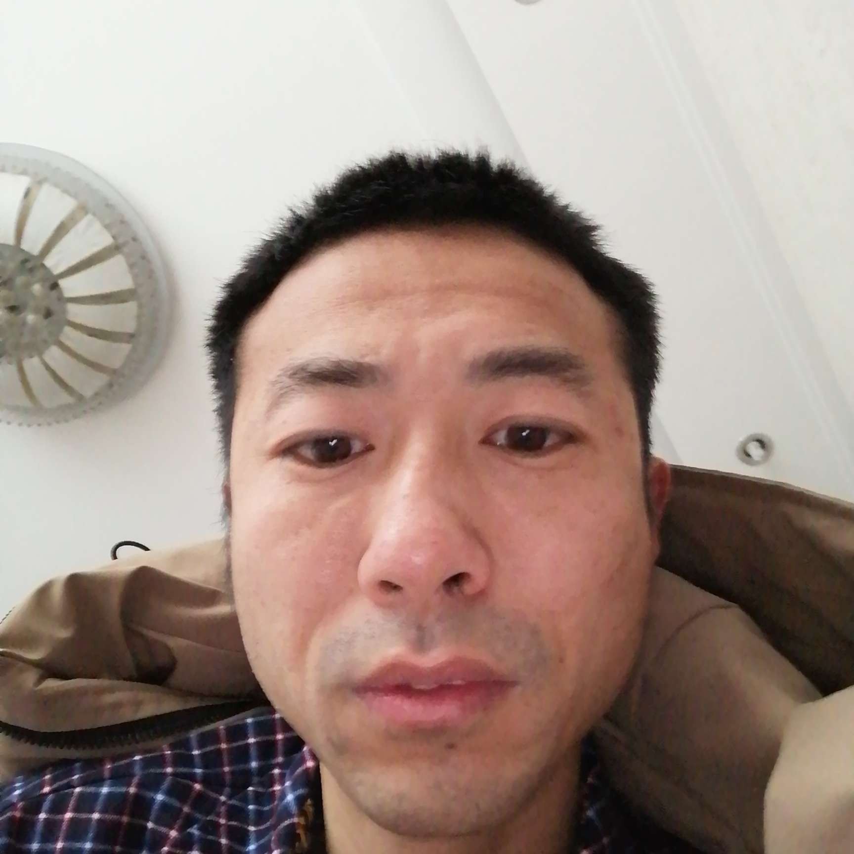 淡定等于呓语的照片
