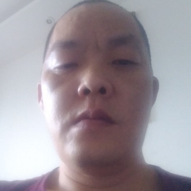冷眸的活泼的照片