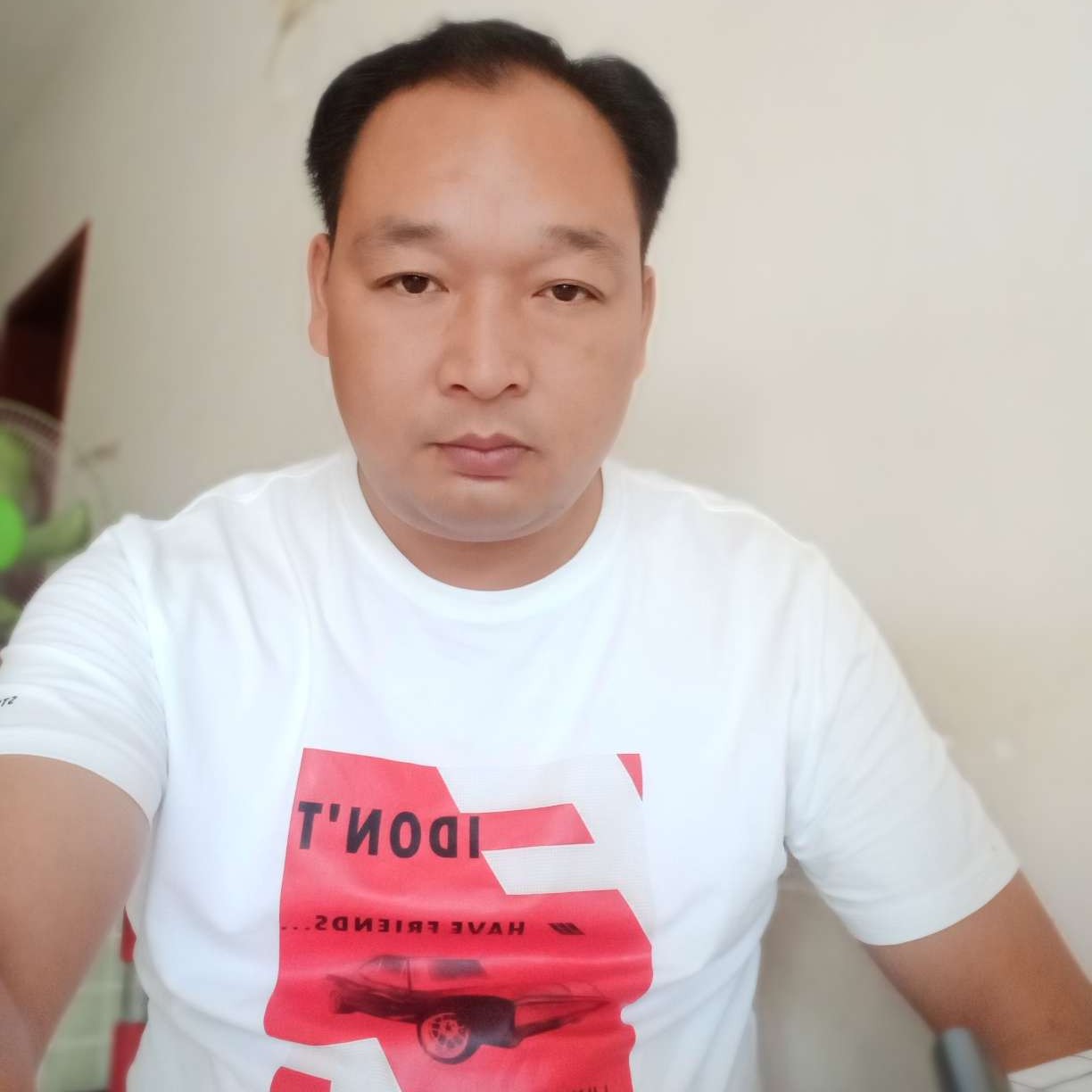春天与潇洒的照片
