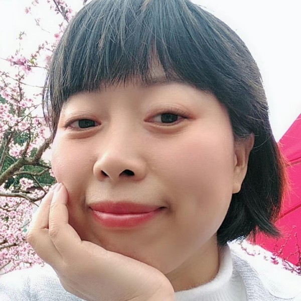 燕子18的照片