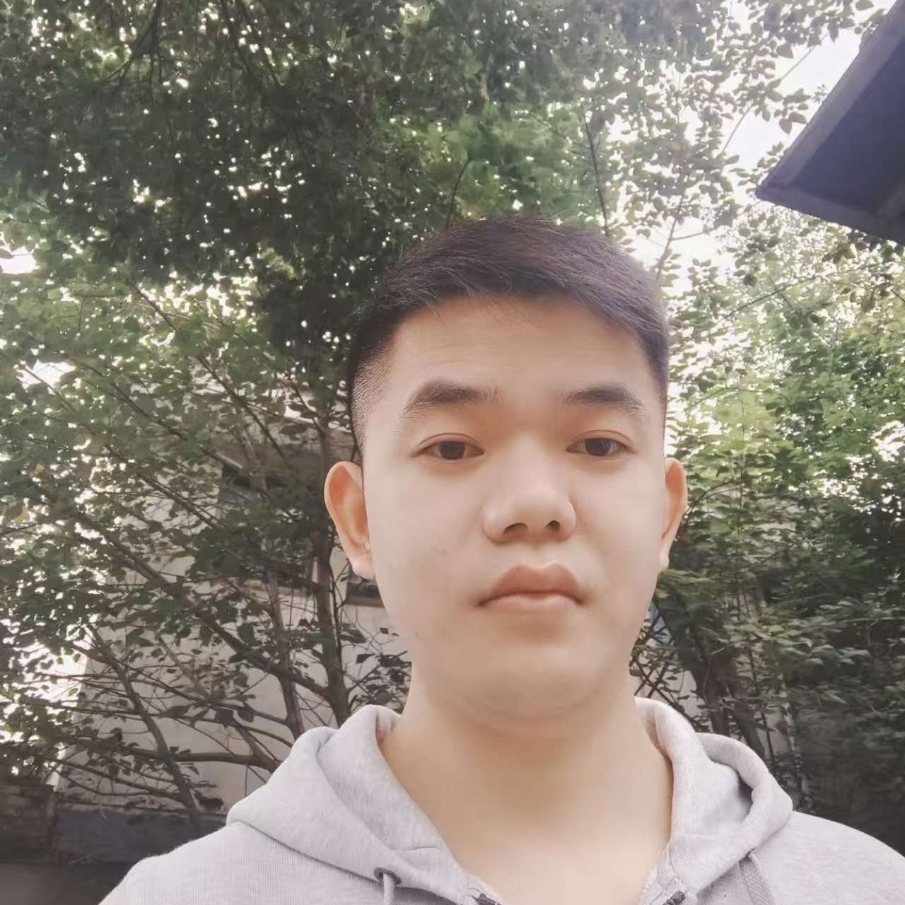 浅浅淡淡的照片